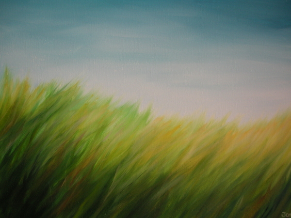 Tall Summer Grass